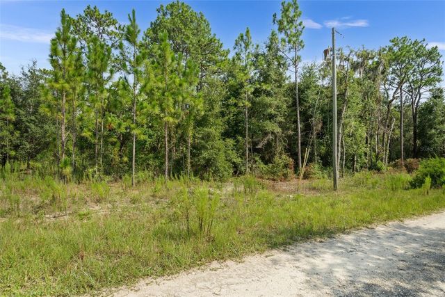 NE 156TH CT, Williston, FL 32696