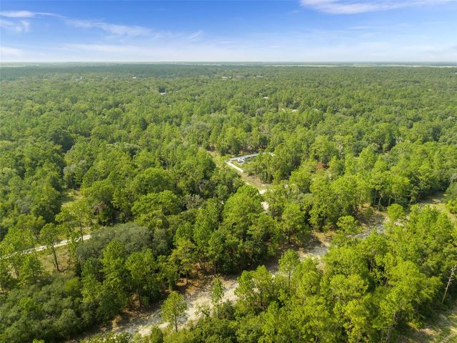 NE 156TH CT, Williston, FL 32696