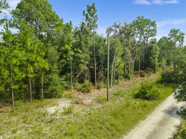 NE 156TH CT, Williston, FL 32696
