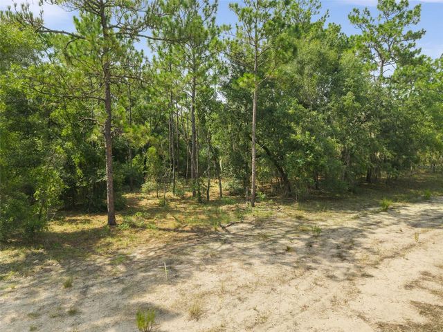 NE 156TH CT, Williston, FL 32696