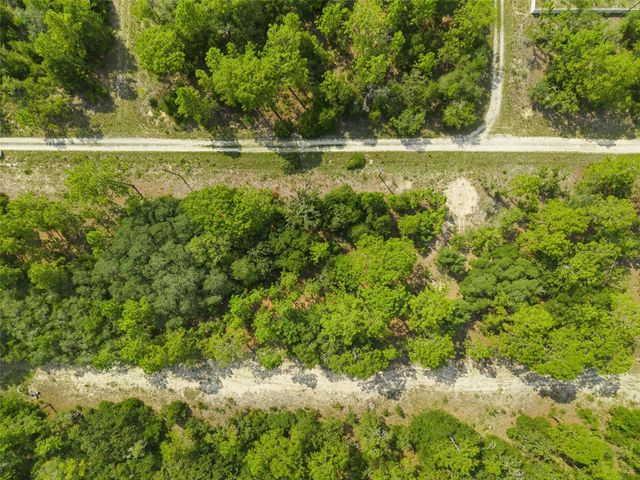 NE 156TH CT, Williston, FL 32696