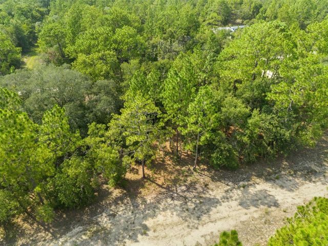 NE 156TH CT, Williston, FL 32696