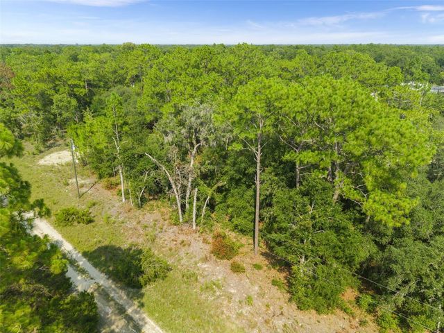 NE 156TH CT, Williston, FL 32696