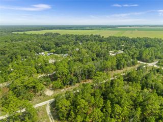 NE 156TH CT, Williston, FL 32696