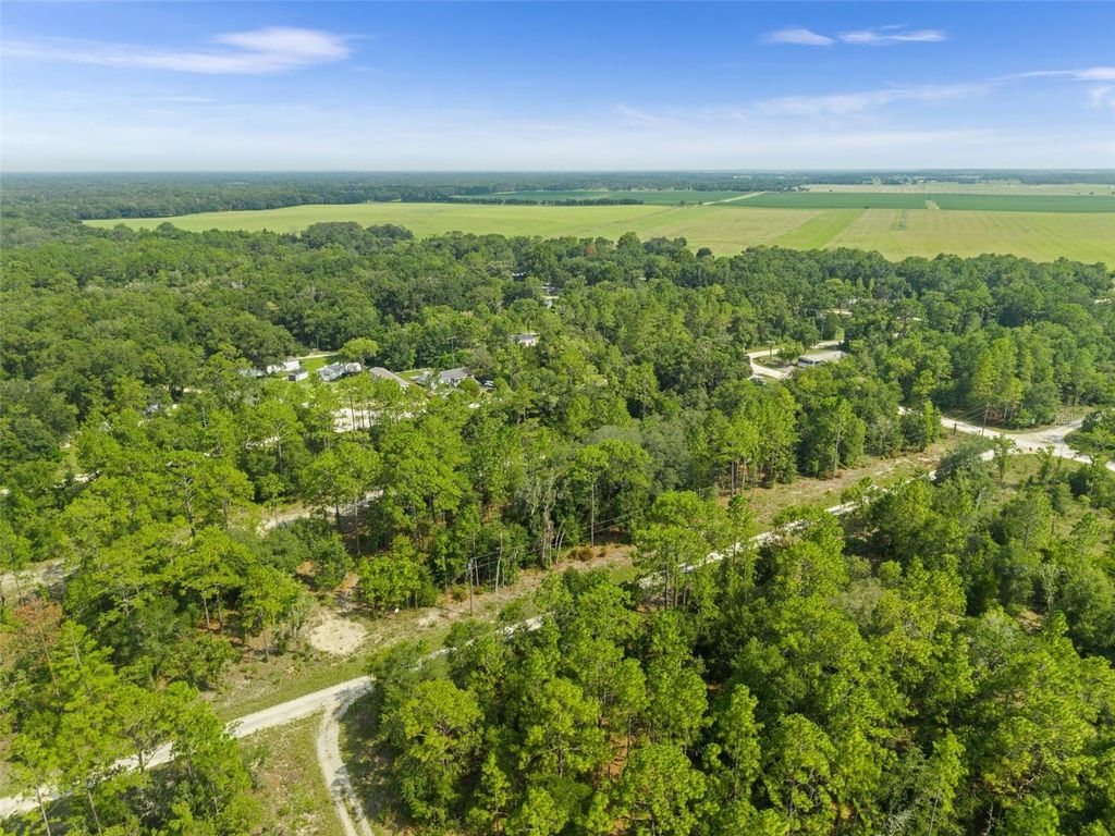 NE 156TH CT, Williston, FL 32696