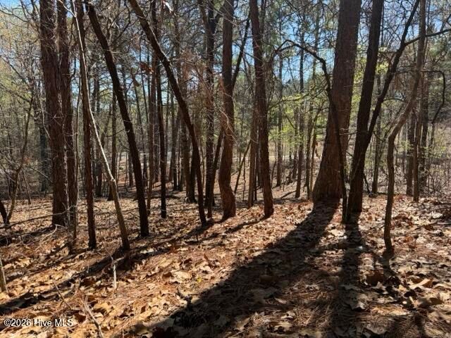 172 James Drive, West End, NC 27376