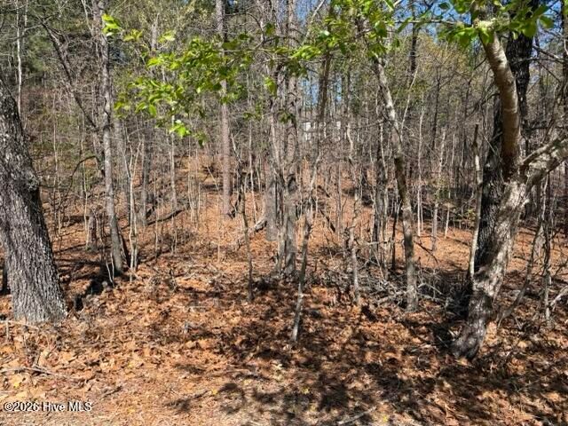 172 James Drive, West End, NC 27376