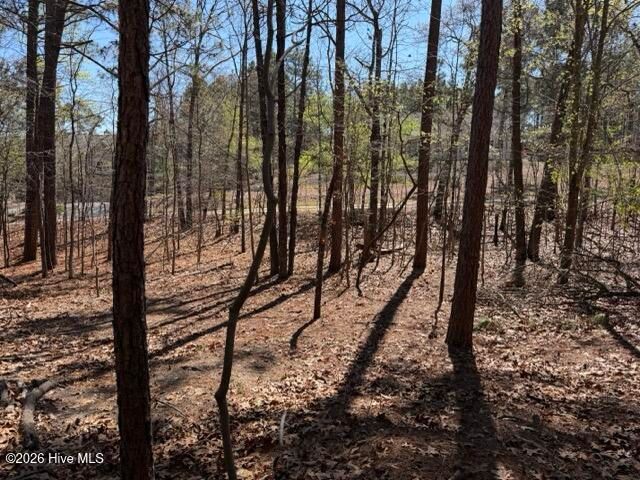 172 James Drive, West End, NC 27376