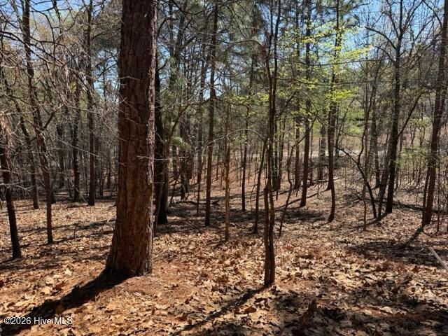 172 James Drive, West End, NC 27376