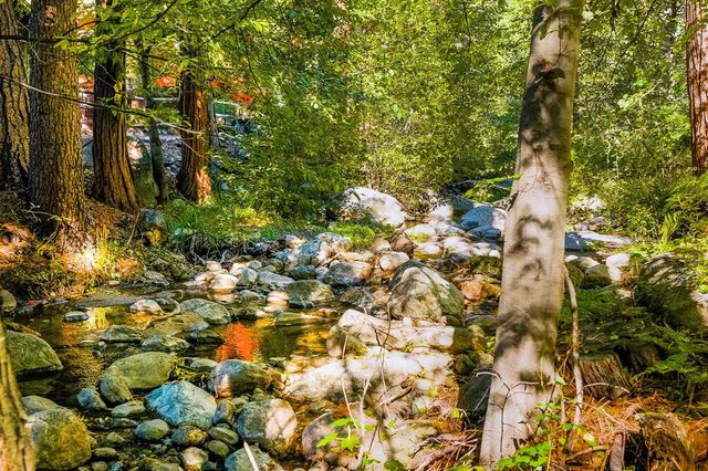 54160 S Circle Drive, Idyllwild, CA 92549