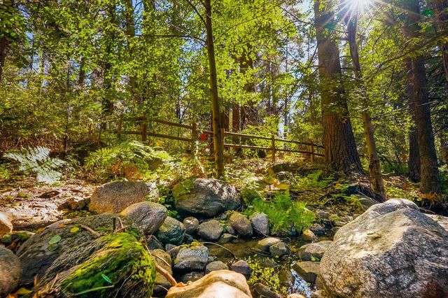 54160 S Circle Drive, Idyllwild, CA 92549