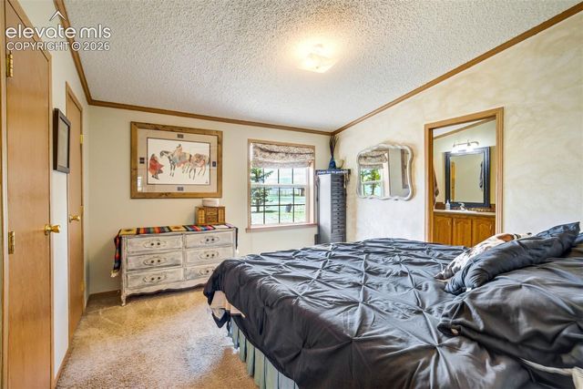 22120 McDaniels Road, Calhan, CO 80808