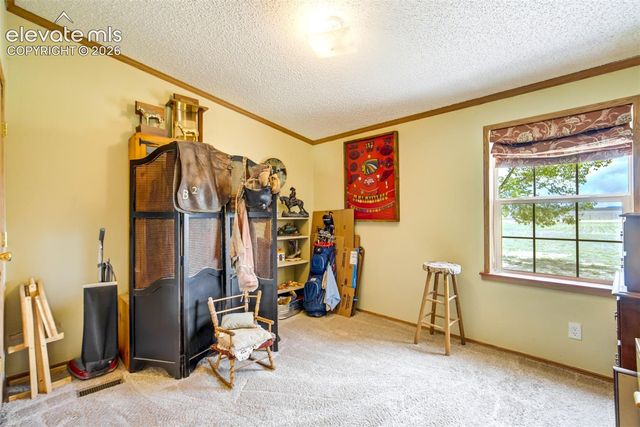 22120 McDaniels Road, Calhan, CO 80808