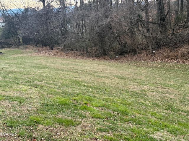 Tbd Lot 2 Matson Road, Jonesborough, TN 37659