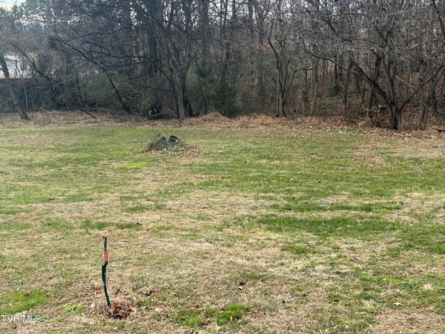 Tbd Lot 2 Matson Road, Jonesborough, TN 37659