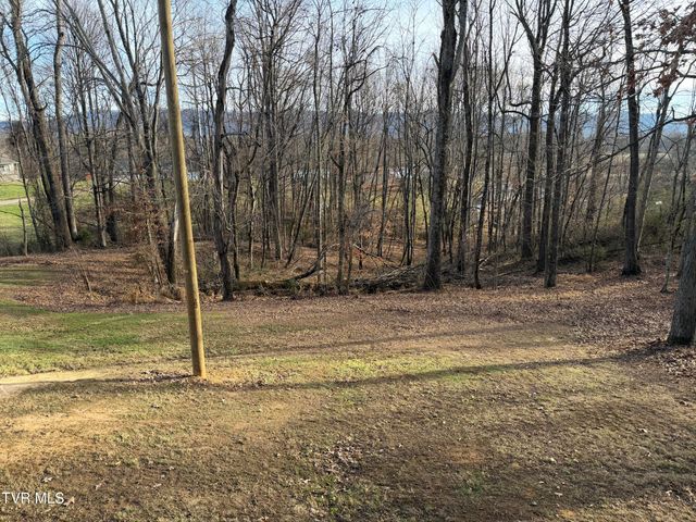 Tbd Lot 2 Matson Road, Jonesborough, TN 37659
