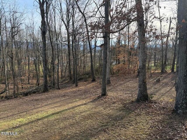 Tbd Lot 2 Matson Road, Jonesborough, TN 37659
