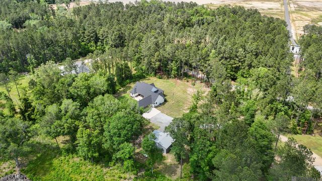 3195 Nesom Rd, Denham Springs, LA 70706