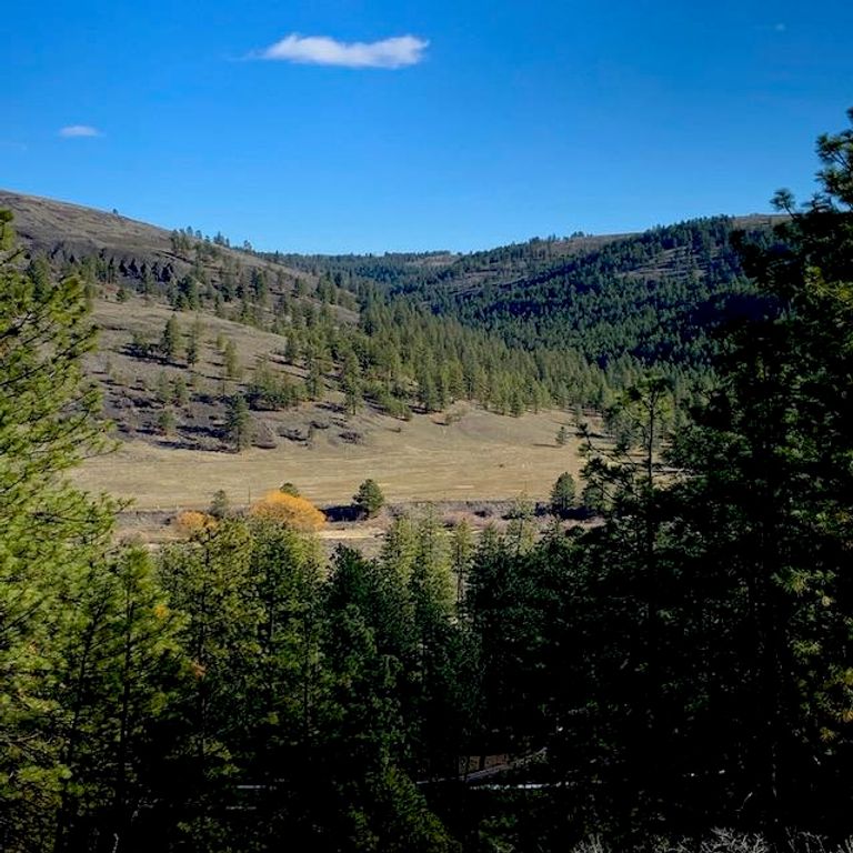 Lot 2 Scenic Short Plat Dr, Davenport, WA 99122