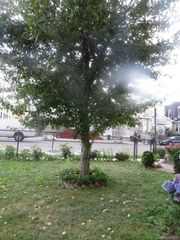 132-06 Metropolitan Avenue, Richmond Hill, NY 11418