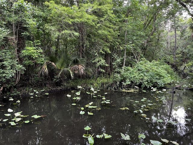 166 MOUNT ROYAL AVENUE, Crescent City, FL 32112