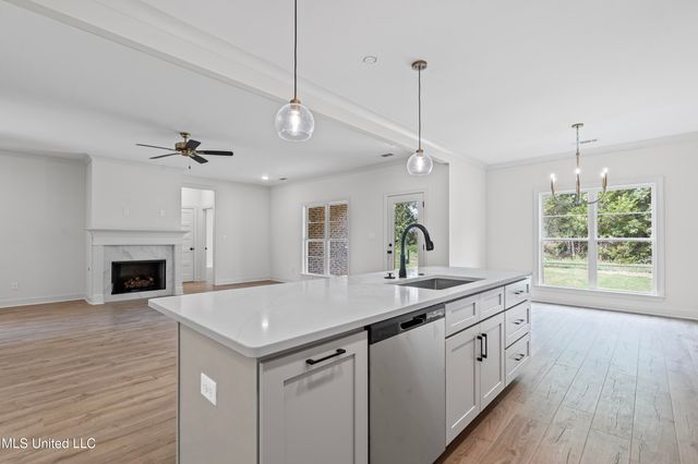 1444 Crk Hvn Drive, Hernando, MS 38632