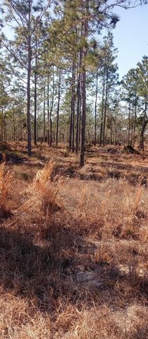 00 NE 151ST AVENUE, Williston, FL 32696
