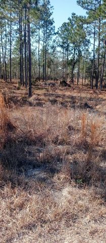 00 NE 151ST AVENUE, Williston, FL 32696