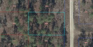 00 NE 151ST AVENUE, Williston, FL 32696