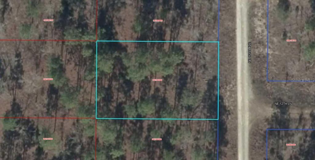 00 NE 151ST AVENUE, Williston, FL 32696