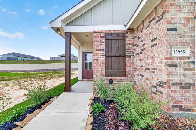 12955 Daniel Springs Lane, Magnolia, TX 77354