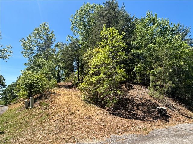 202 Buttercup Way, Sunset, SC 29685