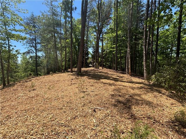 202 Buttercup Way, Sunset, SC 29685
