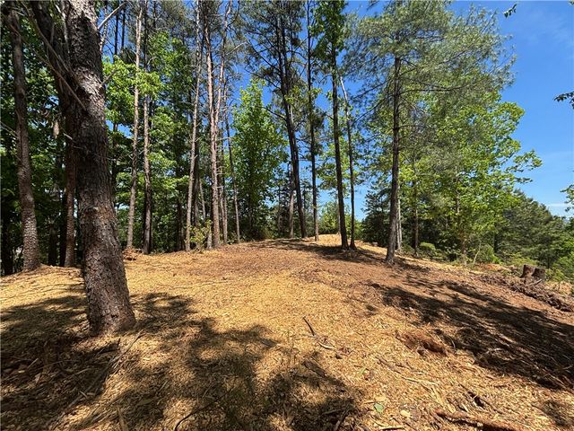 202 Buttercup Way, Sunset, SC 29685