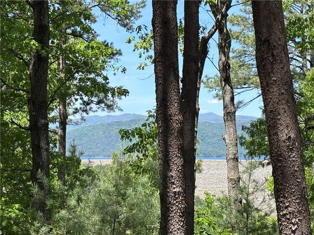 202 Buttercup Way, Sunset, SC 29685