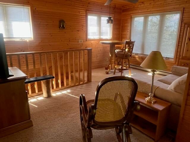 3199 S Lake Shore Drive, Bois Blanc, MI 49775