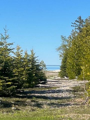 3199 S Lake Shore Drive, Bois Blanc, MI 49775