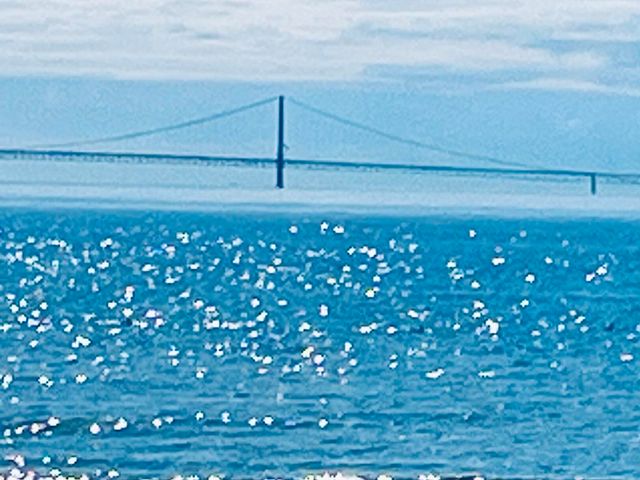 3199 S Lake Shore Drive, Bois Blanc, MI 49775