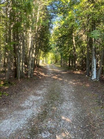 3199 S Lake Shore Drive, Bois Blanc, MI 49775