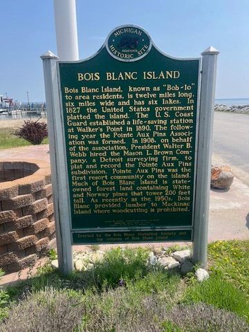 3199 S Lake Shore Drive, Bois Blanc, MI 49775