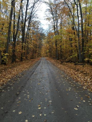 3199 S Lake Shore Drive, Bois Blanc, MI 49775