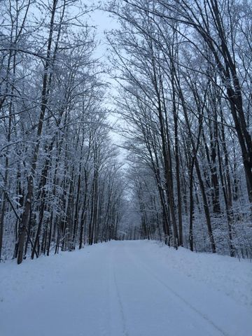 3199 S Lake Shore Drive, Bois Blanc, MI 49775