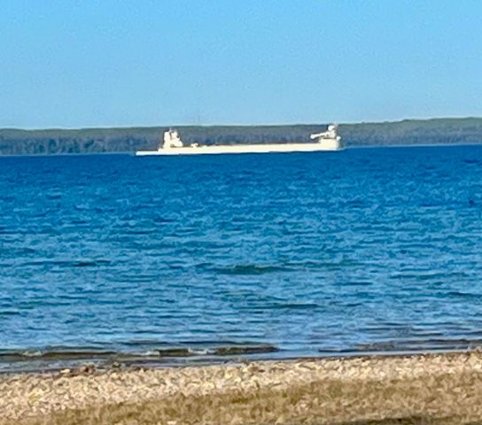 3199 S Lake Shore Drive, Bois Blanc, MI 49775