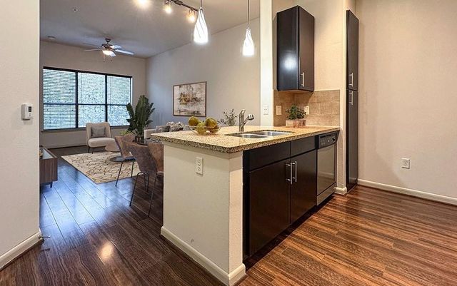 306 Mcgowen Street 3211, Houston, TX 77006