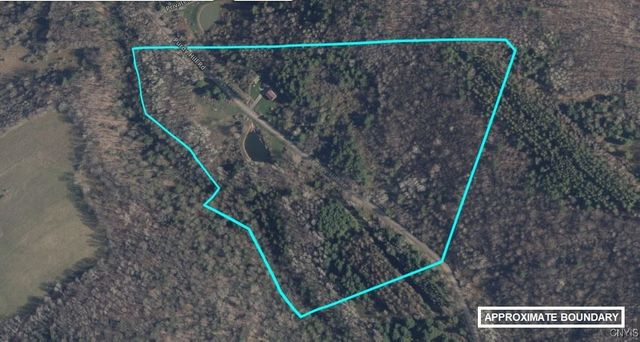 911 Purdy Hill Road, Hartsville, NY 14843