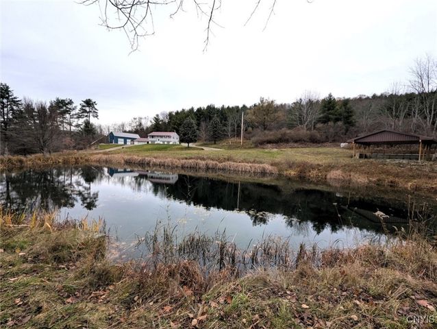 911 Purdy Hill Road, Hartsville, NY 14843