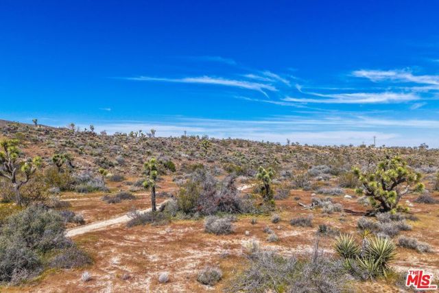 56656 Paseo Los Ninos, Yucca Valley, CA 92284