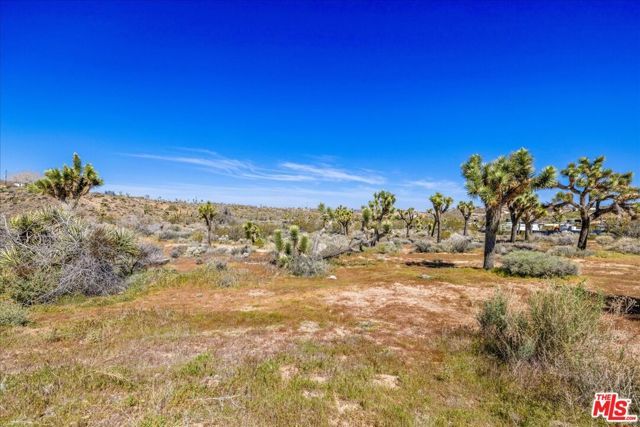 56656 Paseo Los Ninos, Yucca Valley, CA 92284