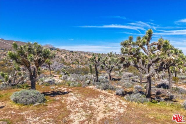 56656 Paseo Los Ninos, Yucca Valley, CA 92284