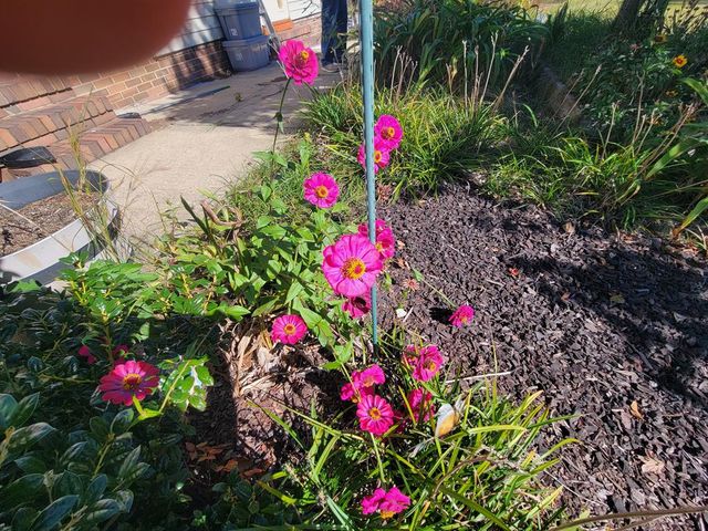 4202 Cheshire Bridge Road, Columbus, GA 31909